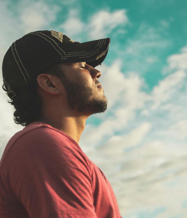 A calm, serene workspace with a plant and natural light, symbolizing mental clarity.